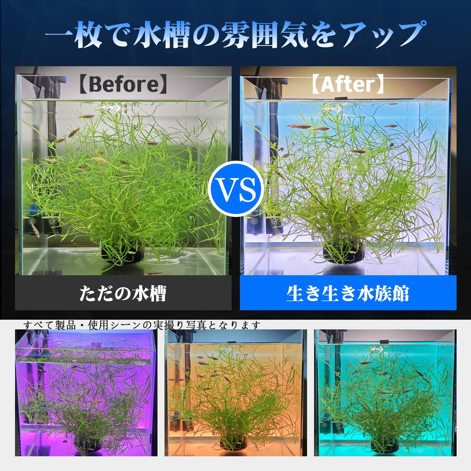Amazon.co.jp: MXBAOHENG 水槽バックスクリーン RGB LED 水槽バック